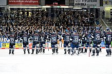 Eishockey, Herren, DEL, Saison 2021-2022, 19.10.2021