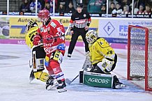 Herren, Eishockey, Oberliga-Süd, DEB, Saison 2024-2025, Deggendorfer SC - Tölzer Löwen, 22.09.2024