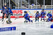 Eishockey, Men, DEL, Penny DEL,  Straubing Tigers - Kids on Ice, 28.09.2024