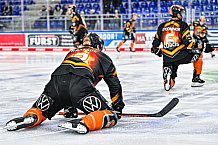 Eishockey, Herren, Penny DEL, 52. Spieltag, Saison 2023-2024, Straubing Tigers - Grizzlys Wolfsburg,08.03.2024