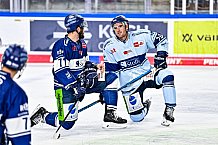 Eishockey, Herren, DEL, Penny DEL, Saison 2023-2024, Straubing Tigers, öffentliches Eistraining,06.08.2023