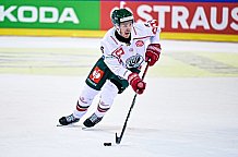 Eishockey, Herren, CHL, Champions Hockey League, Saison 2022-2023, Achtelfinale, Straubing Tigers - Frölunda HC Göteborg, Rückspiel, 22.11.2022