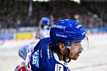 Eishockey, Herren, DEL, Saison 2021-2022, Playoff, Viertelfinale, Spiel 3, Straubing Tigers - Adler Mannheim, 14.04.2022