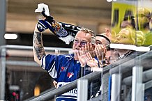 Eishockey, Men, CHL, Champions Hockey League, Regular Saison 2024-25, Game Day 1, Straubing Tigers - SonderjyskE Vojens, 06.09.2024