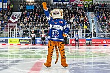 Eishockey, Herren, Penny DEL, 11. Spieltag, Saison 2023-2024, Straubing Tigers - Koelner Haie,15.10.2023