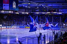 Eishockey, Herren, Penny DEL, 17. Spieltag, Saison 2023-2024, Straubing Tigers - EHC Red Bull Muenchen,03.11.2023