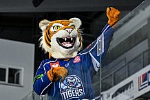 Eishockey, CHL, Champions Hockey League, 3. Spieltag, Saison 2022-2023, Gruppe F, Straubing Tigers - Comrach Cracovia, 09.09.2022