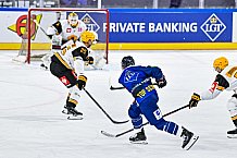 Eishockey, Men, CHL, Champions Hockey League, Regular Saison 2024-25, Game Day 2, Straubing Tigers - Skelleftea AIK, 08.09.2024
