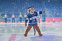 Eishockey, Herren, Penny DEL, 29. Spieltag, Saison 2023-2024, Straubing Tigers - Schwenninger Wild Wings,21.12.2023