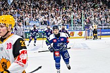 Eishockey, Men, CHL, Champions Hockey League, Regular Saison 2024-25, Game Day 2, Straubing Tigers - Skelleftea AIK, 08.09.2024