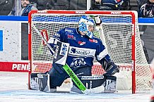 Eishockey, Herren, Penny DEL, 40. Spieltag, Saison 2023-2024, Straubing Tigers - Augsburger Panther,21.01.2024