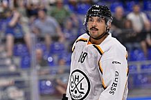 Eishockey, Herren, DEL, Penny DEL, Vorbereitung, Gäubodencup 2023, Finale, Saison 2023-2024, Straubing Tigers - HC Lugano,20.08.2023