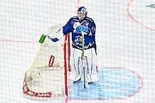 Eishockey, Men, DEL, Penny DEL, Hauptrunde Saison 2024-25, 1. Spieltag, Straubing Tigers - Düsseldorfer EG, 20.09.2024