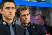 Eishockey, Men, DEL, Penny DEL, Hauptrunde Saison 2024-25, 8. Spieltag, Straubing Tigers - Adler Mannheim, 11.10.2024