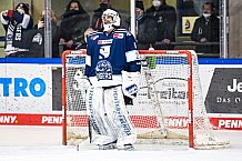 Eishockey, Herren, DEL, Saison 2021-2022, 39. Spieltag, Straubing Tigers - Grizzlys Wolfsburg,  18.02.2022