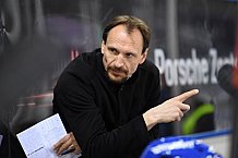 Eishockey, Herren, DEL, Saison 2020-2021, Straubing Tigers - Adler Mannheim, 06.03.2021