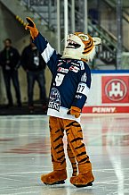 Eishockey, Herren, DEL, Saison 2021-2022, 24.10.2021