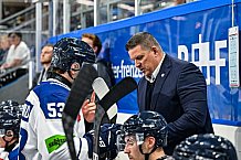 Eishockey, Men, CHL, Champions Hockey League, Regular Saison 2024-25, Game Day 1, Straubing Tigers - SonderjyskE Vojens, 06.09.2024