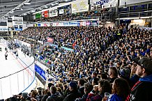 Eishockey, Herren, Penny DEL, 17. Spieltag, Saison 2023-2024, Straubing Tigers - EHC Red Bull Muenchen,03.11.2023