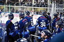Eishockey, Herren, DEL, Saison 2021-2022, Playoff, Viertelfinale, Spiel 3, Straubing Tigers - Adler Mannheim, 14.04.2022