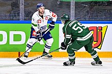 Eishockey, CHL, Champions Hockey League, 2. Spieltag, Saison 2022-2023, Gruppe F, Färjestad Karlstad - Straubing Tigers, 03.09.2022
