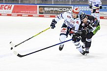 Eishockey, Herren, DEL, Saison 2020 2021, Straubing Tigers - Schwenninger Wild Wings, 25.01.2021