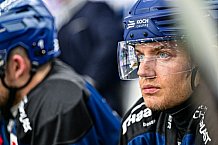 Eishockey, Herren, Penny DEL, Playoffs, Halbfinale, Spiel 2, Saison 2023-2024, Straubing Tigers - Eisbären Berlin, n03.04.2024