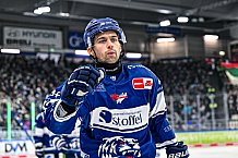 Eishockey, Herren, Penny DEL, 40. Spieltag, Saison 2023-2024, Straubing Tigers - Augsburger Panther,21.01.2024