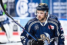 Eishockey, Herren, DEL, Saison 2020-2021, Straubing Tigers - Kölner Haie, 11.04.2021