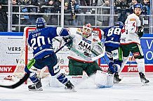 Eishockey, Herren, Penny DEL, 40. Spieltag, Saison 2023-2024, Straubing Tigers - Augsburger Panther,21.01.2024
