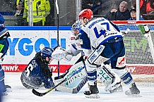 Eishockey, Herren, Penny DEL, Playoffs, Viertelfinale, Spiel 3, Saison 2023-2024, Straubing Tigers - Schwenninger Wild Wings,22.03.2024