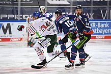 Straubing Tigers - Augsburger Panther