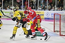 Herren, Eishockey, Oberliga-Süd, DEB, Saison 2024-2025, Deggendorfer SC - Tölzer Löwen, 22.09.2024