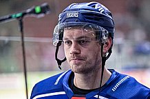 Eishockey, CHL, Champions Hockey League, 1. Spieltag, Saison 2022-2023, Gruppe F, Comarch Cracovia - Straubing Tigers, 01.09.2022