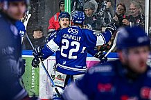 Eishockey, Herren, Penny DEL, 44. Spieltag, Saison 2023-2024, Straubing Tigers - Adler Mannheim,04.02.2024