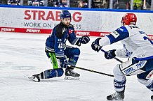 Eishockey, Herren, Penny DEL, Playoffs, Viertelfinale, Spiel 7, Saison 2023-2024, Straubing Tigers - Schwenninger Wild Wings,30.03.2024
