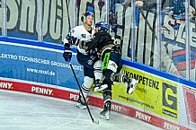 Eishockey, Herren, Penny DEL, 17. Spieltag, Saison 2023-2024, Straubing Tigers - EHC Red Bull Muenchen,03.11.2023