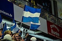 Eishockey, Herren, DEL, Saison 2021-2022, Playoff, Viertelfinale, Spiel 3, Straubing Tigers - Adler Mannheim, 13.04.2022