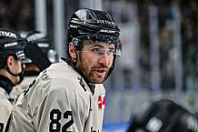 Eishockey, Herren, Penny DEL, 47. Spieltag, Saison 2023-2024, Straubing Tigers - Koelner Haie,18.02.2024