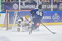 Eishockey, Men, CHL, Champions Hockey League, Regular Saison 2024-25, Game Day 2, Straubing Tigers - Skelleftea AIK, 08.09.2024