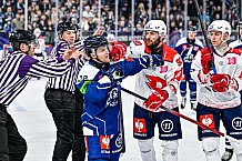 Eishockey, Men, CHL, Champions Hockey League, Regular Saison 2024-25, Game Day 4, Straubing Tigers - Dynamo Pardubice, 15.09.2024