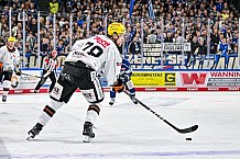Eishockey, Herren, Penny DEL, 4. Spieltag, Saison 2023-2024, Straubing Tigers - Loewen Frankfurt,24.09.2023
