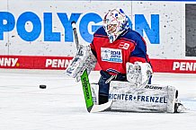 Eishockey, Herren, Penny DEL, 50. Spieltag, Saison 2023-2024, Straubing Tigers - Eisbären Berlin,01.03.2024