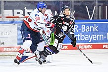 Eishockey, Herren, DEL, Saison 2020-2021, Straubing Tigers - Adler Mannheim, 06.03.2021