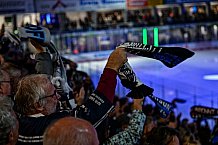 Eishockey, Men, DEL, Penny DEL, Hauptrunde Saison 2024-25, 1. Spieltag, Straubing Tigers - Düsseldorfer EG, 20.09.2024