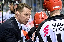 Eishockey, Herren, DEL, Saison 2021-2022, 39. Spieltag, Straubing Tigers - Grizzlys Wolfsburg,  18.02.2022