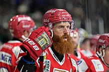 Herren, Eishockey, Oberliga-Süd, DEB, Saison 2024-2025, Deggendorfer SC - Tölzer Löwen, 22.09.2024