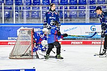 Eishockey, Men, DEL, Penny DEL,  Straubing Tigers - Kids on Ice, 28.09.2024