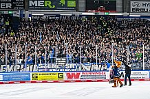 Eishockey, Herren, Penny DEL, Playoffs, Viertelfinale, Spiel 5, Saison 2023-2024, Straubing Tigers - Schwenninger Wild Wings,26.03.2024