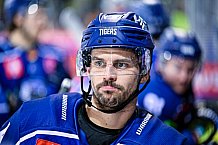 Eishockey, Herren, CHL, Champions Hockey League, Saison 2022-2023, Achtelfinale, Straubing Tigers - Frölunda HC Göteborg, Rückspiel, 22.11.2022